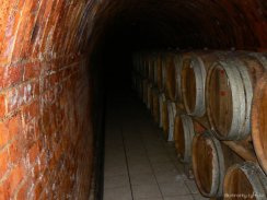 2009_vestonice_44_u_korinka